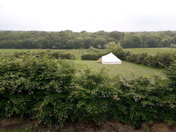 Blean Bees eco glamping site1