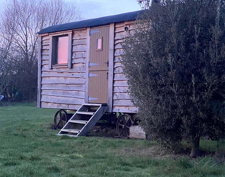 Larch Shepherds Hut
